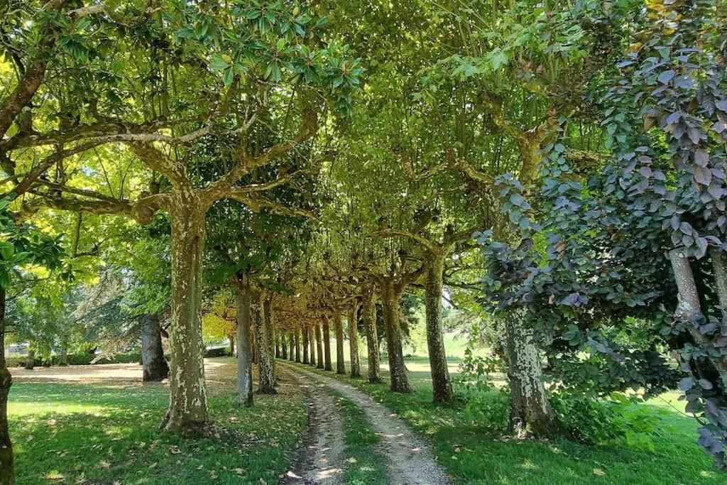 Chateau D'Issandou Golfech Luaran gambar