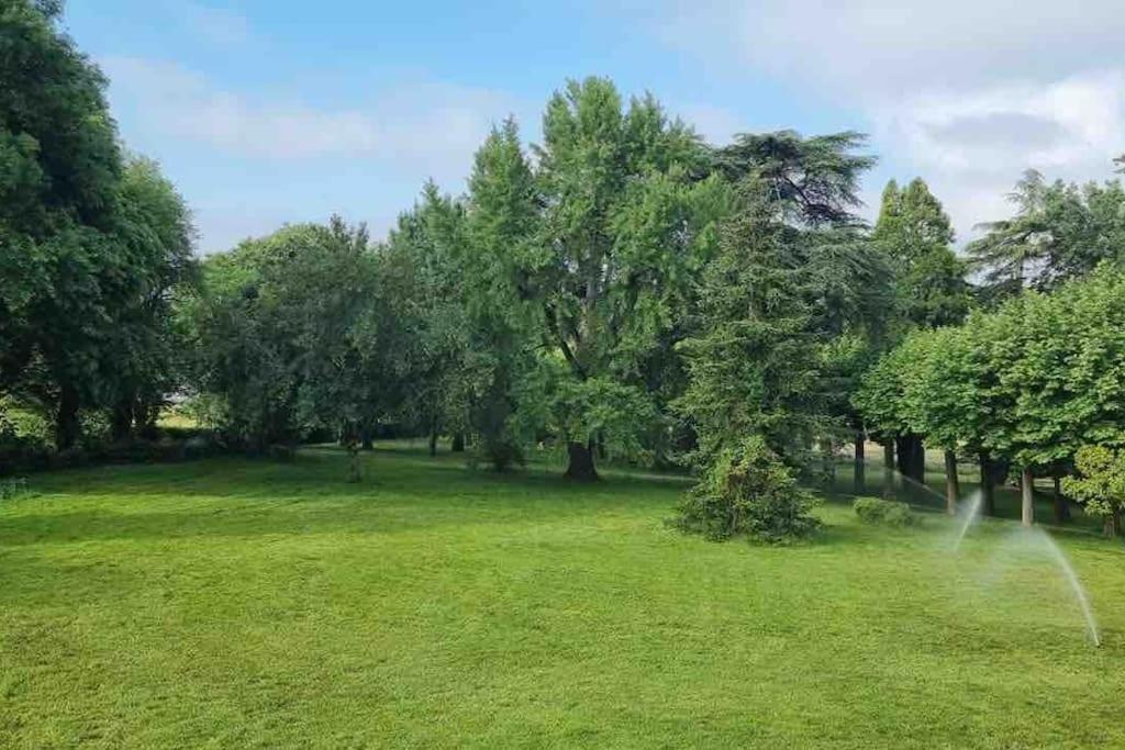 Chateau D'Issandou Golfech Luaran gambar